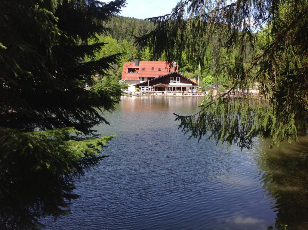 Self-Check-In Ferienwohnungen & Apartments Am Bergsee Triberg im Schwarzwald Eksteriør billede