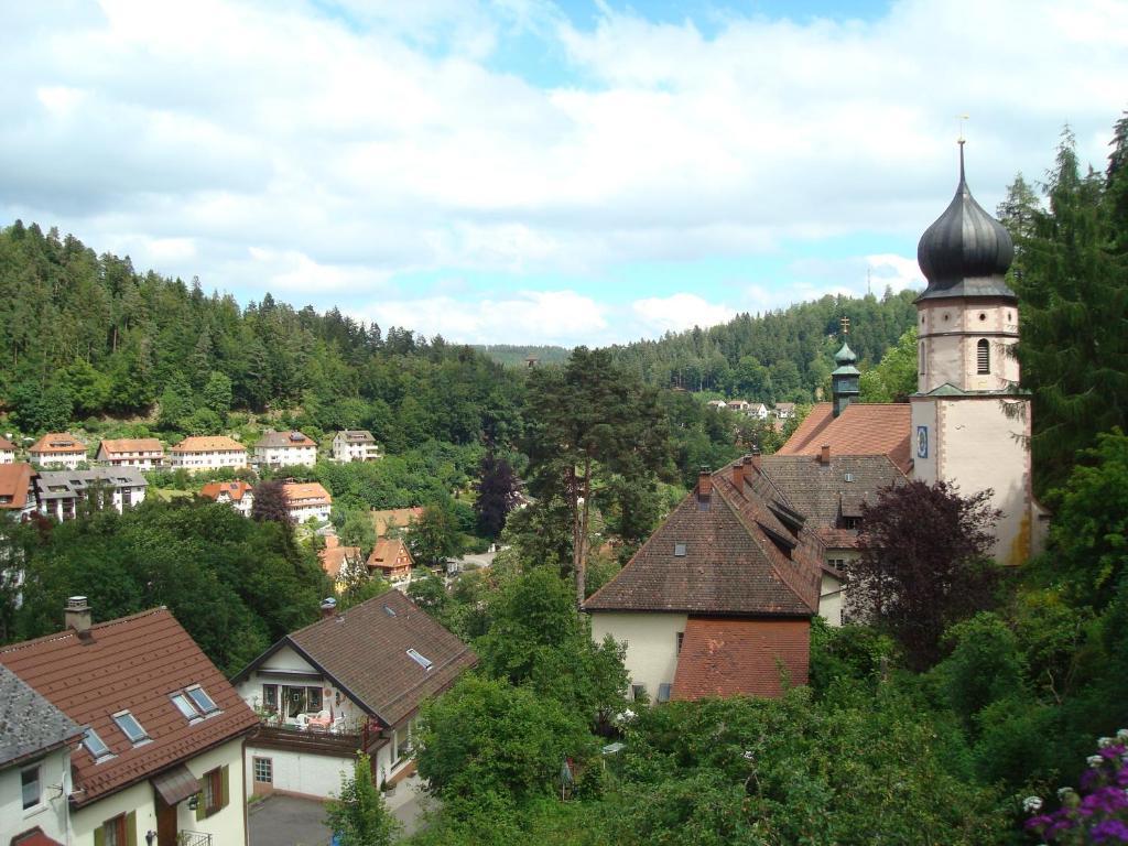 Self-Check-In Ferienwohnungen & Apartments Am Bergsee Triberg im Schwarzwald Værelse billede